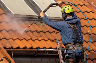Démoussage et hydrofuge de toiture au Chillou